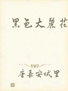 黑色大丽花图片