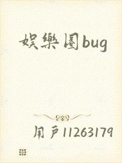 娱乐圈bug封面