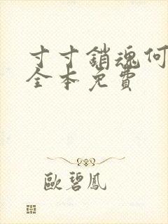 寸寸销魂何生祥全本免费