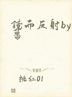 镜面反射by九葛