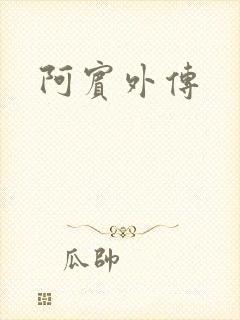 阿宾外传封面