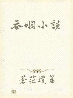 吞咽小说