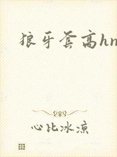 狼牙套高hnp