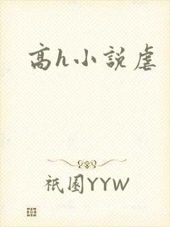 高h小说虐封面