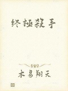 终极杀手