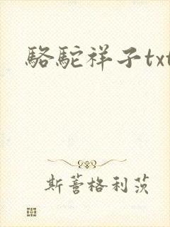 骆驼祥子txt