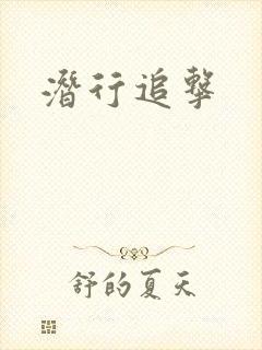 潜行追击