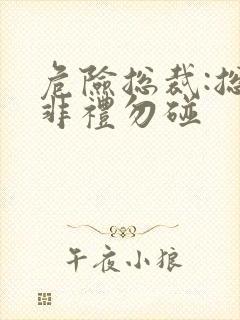 危险总裁:总裁非礼勿碰