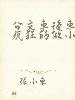 公交车后车座的疯狂的做小