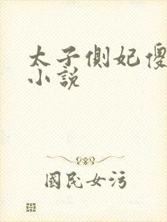 太子侧妃傻乎乎小说