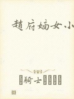 赵府嫡女小说