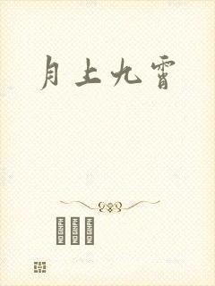 月上九霄封面