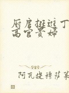 厨房挺进丁字裤高官贵妇