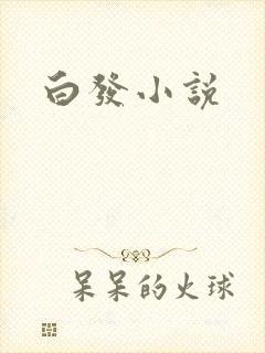 白发小说