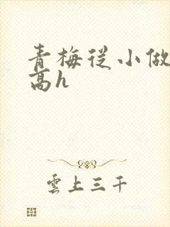 青梅从小做到大高h封面