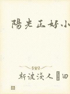阳光正好小说