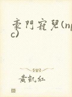 豪门宠儿(npc)