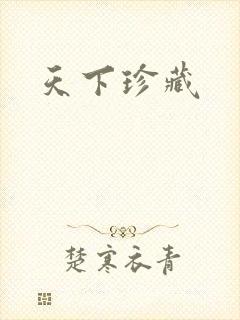 天下珍藏