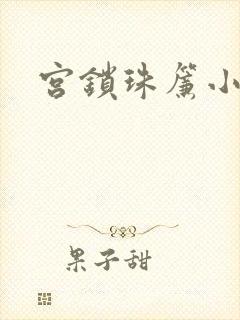 宫锁珠帘小说