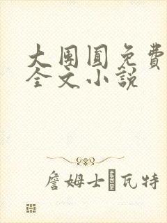 大团圆免费阅读全文小说