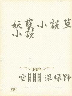 妖孽小说草莓酱小说封面