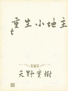 重生小地主txt封面