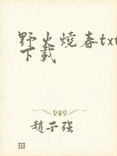 野火烧春txt下载封面