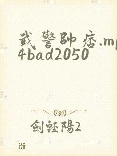 武警帅痞.mp4bad2050