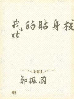 我的贴身校花txt封面