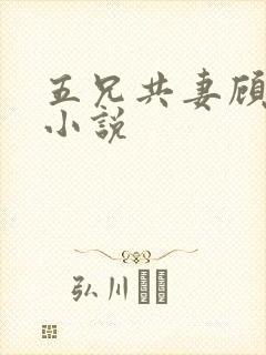 五兄共妻顾心儿小说