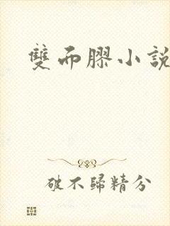 双面胶小说