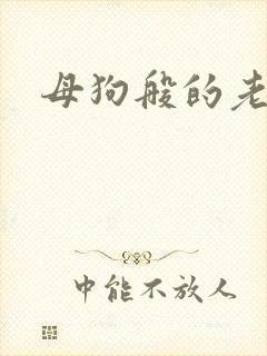 母狗般的老师封面