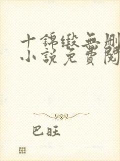 十锦缎无删原著小说免费阅读封面