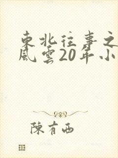 东北往事之黑道风云20年小说