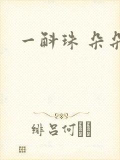 一斛珠 朵朵舞封面