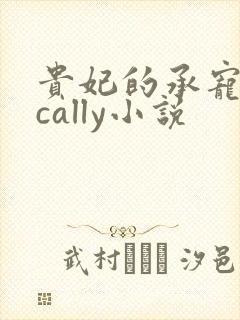 贵妃的承宠日常cally小说封面