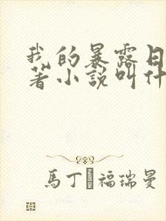 我的暴露日记原著小说叫什么