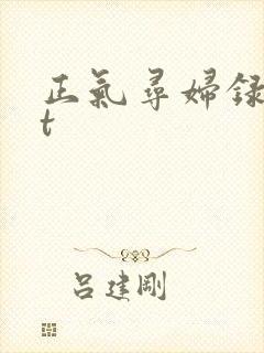 正气寻妇录txt
