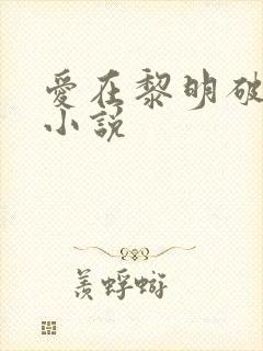 爱在黎明破晓前小说封面