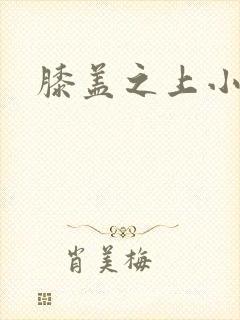 膝盖之上小说