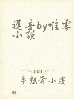 迟音by唯雾的小说封面