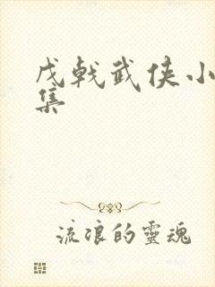 戊戟武侠小说全集封面