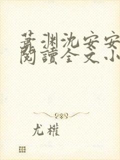 萧渊沈安安免费阅读全文小说封面