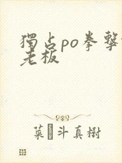 独占po拳击馆老板