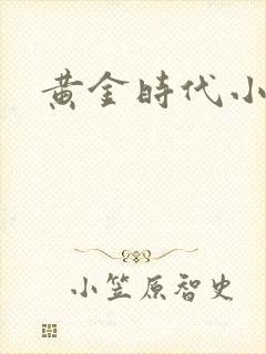 黄金时代小说