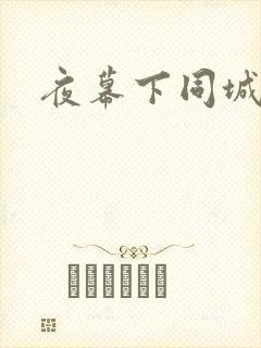 夜幕下同城网