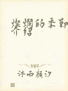 灿烂的季节剧情介绍封面