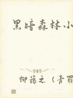 黑暗森林小说