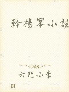 干杨幂小说