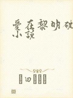 爱在黎明破晓前小说